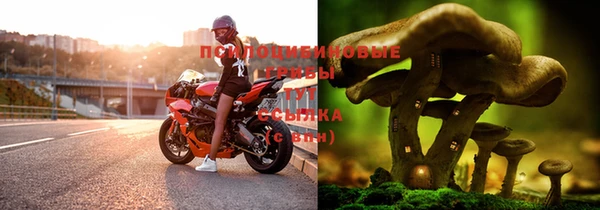 таблы Надым