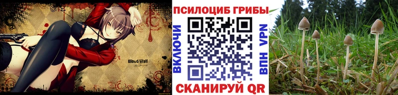 Галлюциногенные грибы Cubensis  Задонск 
